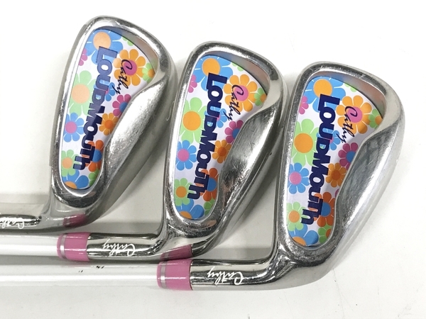 LOUDMOUTH Cathy ゴルフ クラブ 7本 セット キャディ バッグ スポーツ 趣味 中古 F8570715_画像10