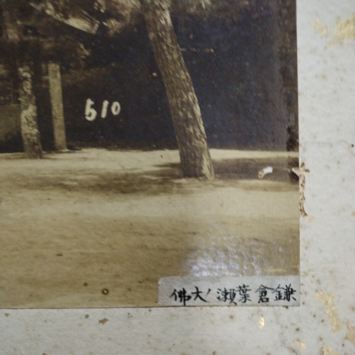 古写真 鎌倉大仏 圓山 大判 日本風景 明治 の画像3