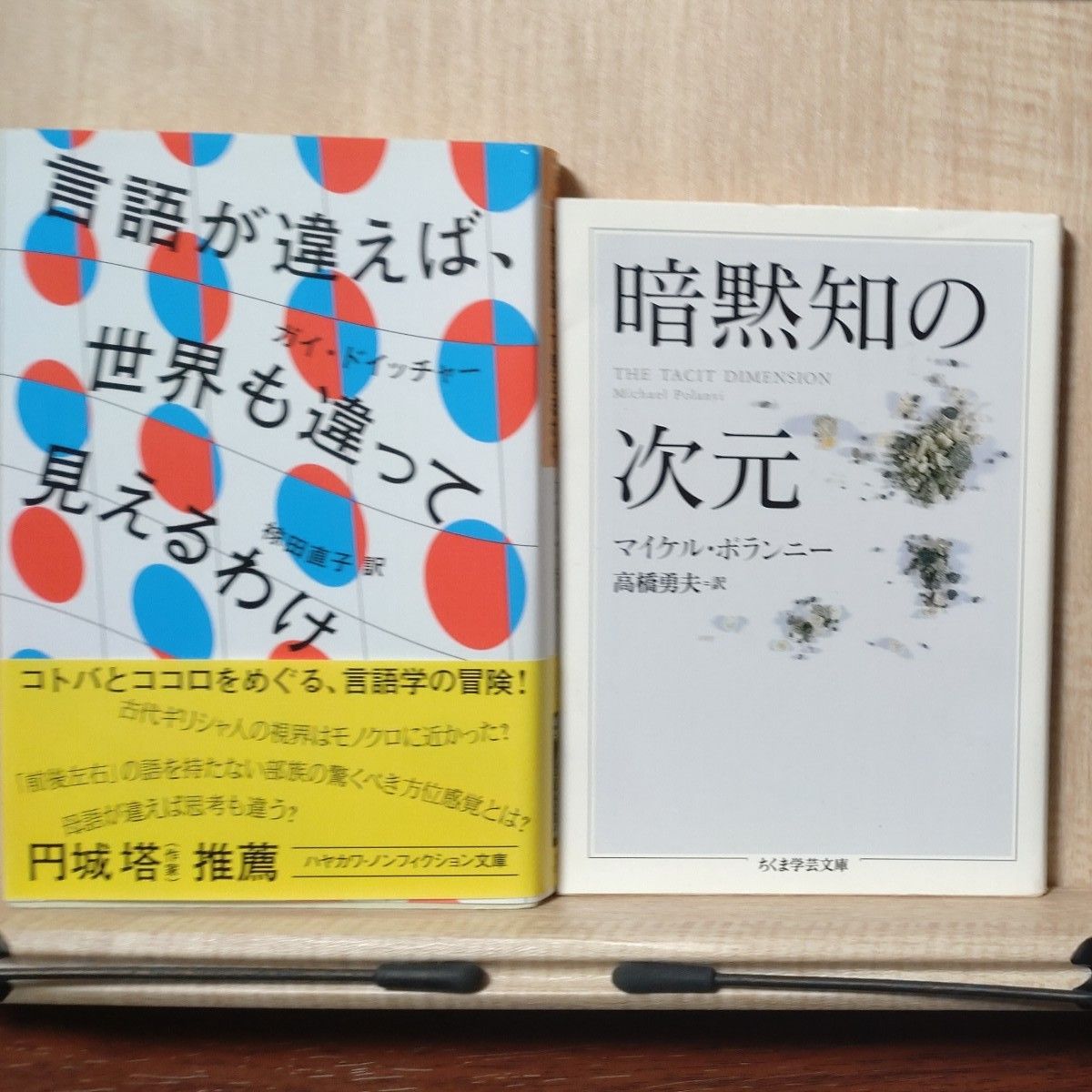 言語が違えば、世界も違って見えるわけ （ハヤカワ文庫　ＮＦ　５８６） ガイ・ドイッチャー／著　椋田直子／訳