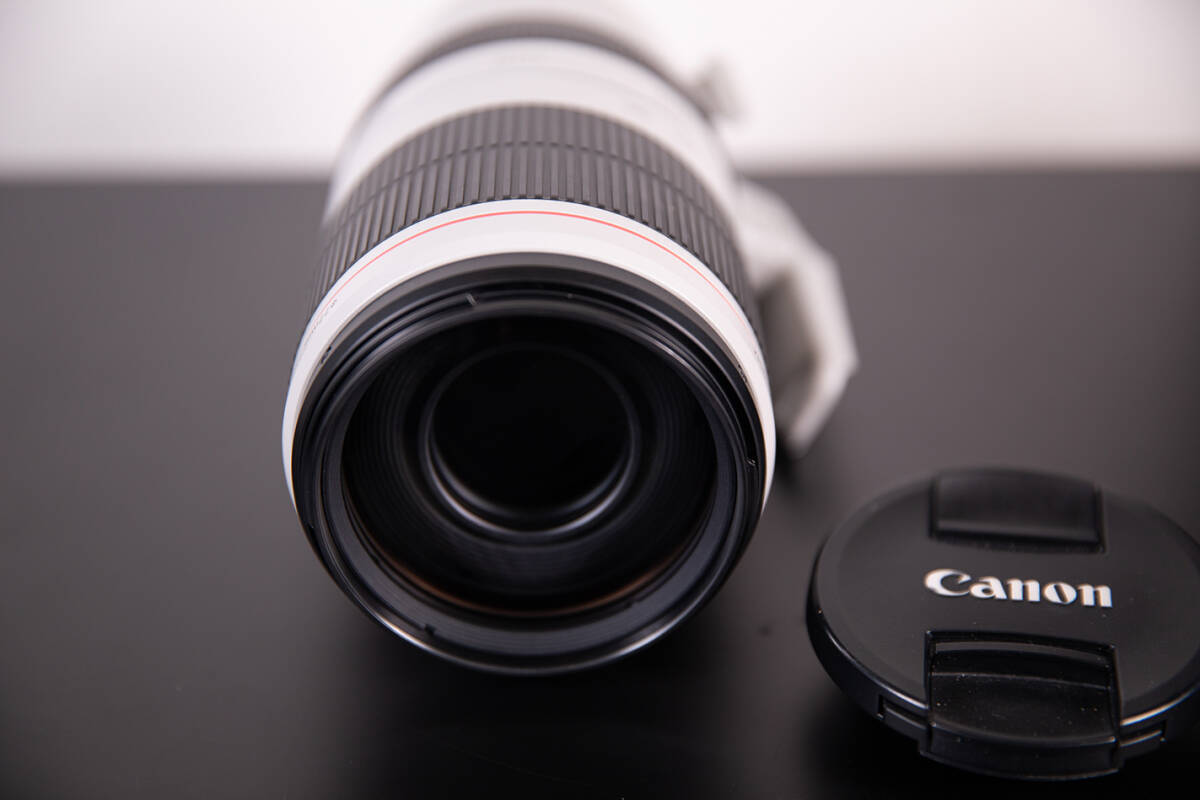 【良品】Canon EF 100-400mm F4.5-5.6 L IS II USM カメラレンズ 望遠 ズーム EFマウント キャノン_画像5