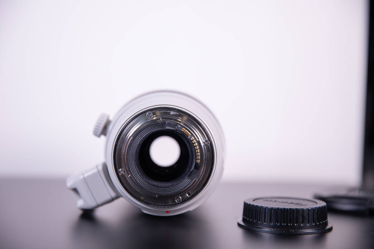 【良品】Canon EF 100-400mm F4.5-5.6 L IS II USM カメラレンズ 望遠 ズーム EFマウント キャノン_画像4