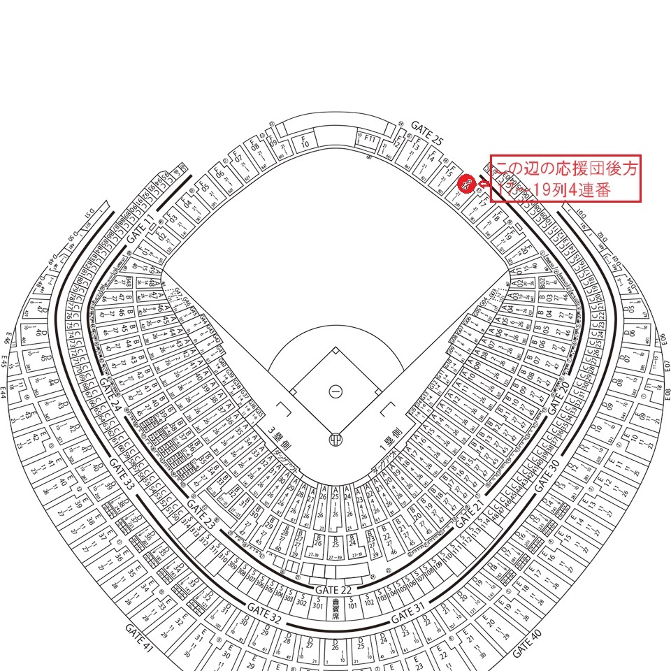 3/31（日）巨人×阪神 ライト外野指定席4連番 東京ドーム_画像1