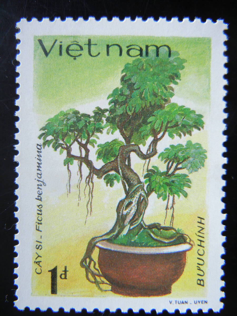 ベトナム  '88年発行 「盆栽」小型シート+単片7種セット 未使用 NH 美品の画像6