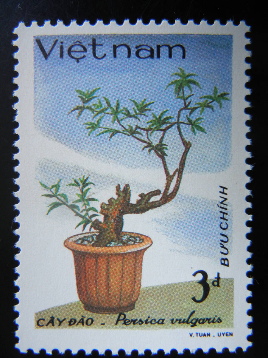 ベトナム  '88年発行 「盆栽」小型シート+単片7種セット 未使用 NH 美品の画像9