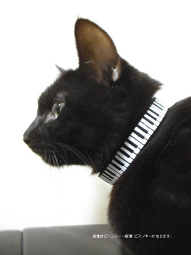  Be стойка частота (Beasite Bands) ошейник для кошки Royal кошка 