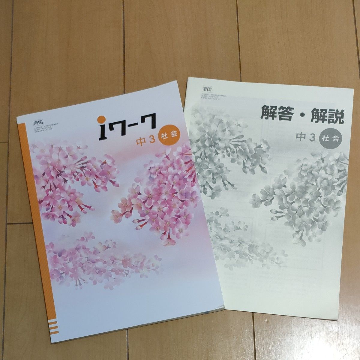 iワーク中3社会公民 帝国書院 別冊解答解説 塾教材　湘南ゼミナール湘ゼミ 問題集　中学３年生　高校受験