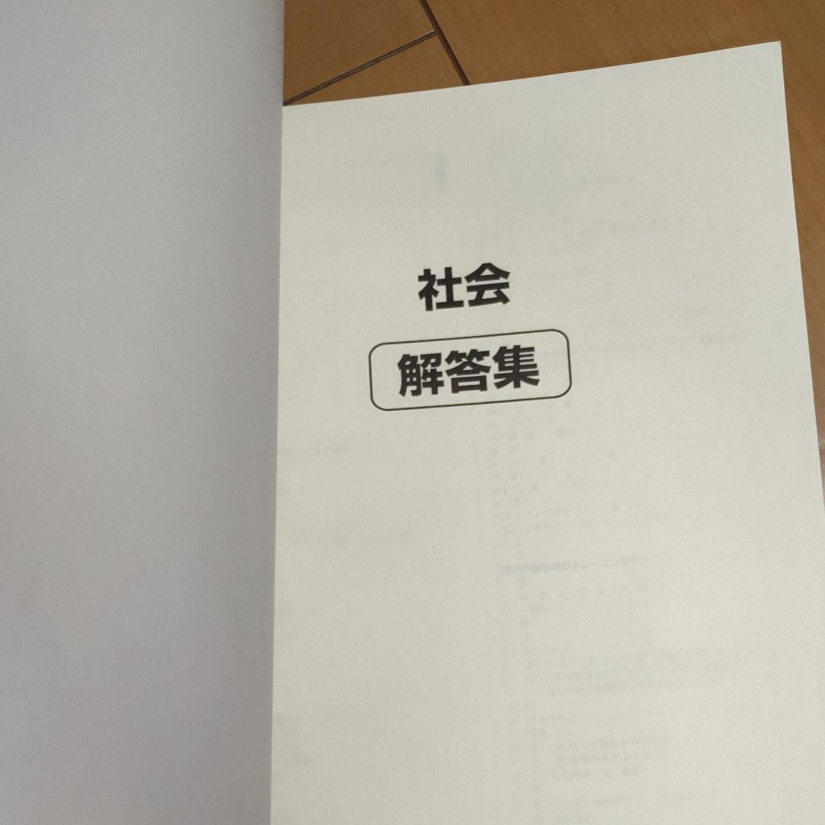 「PASSPORT　TEST」社会　高校入試対策テキスト　問題集　別冊解答付き