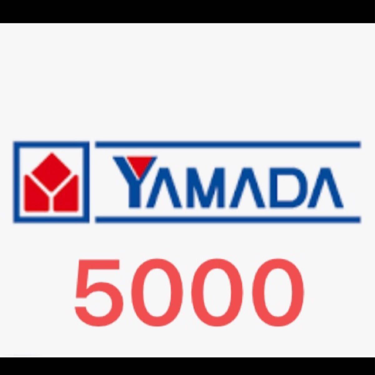 ヤマダ電機　5000
