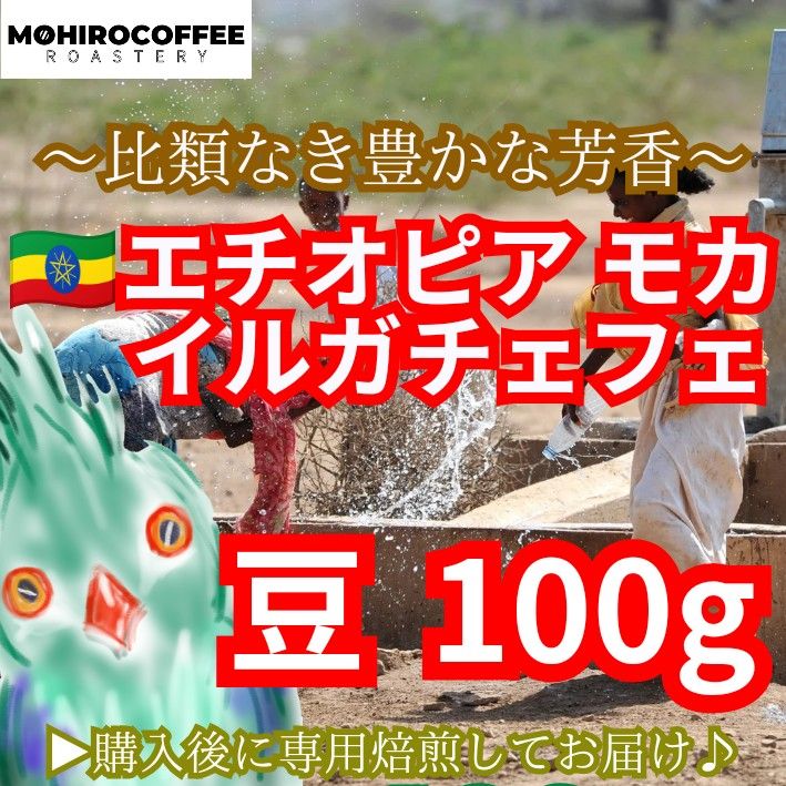 【豆】 モカ イルガチャフェ 生豆時 100g エチオピア コーヒー  珈琲 自家焙煎 コーヒー豆 モカコーヒー