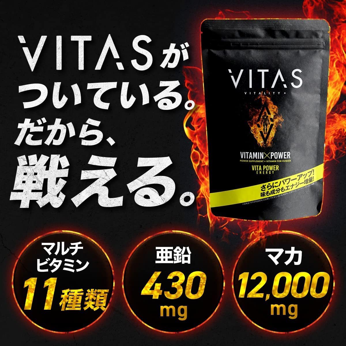 【新品・即決・送料込】 VITAS VITA POWER ビタパワー マルチビタミン + マカ 亜鉛 バイタス 筋トレ サプリ ｜ 全国送料無料