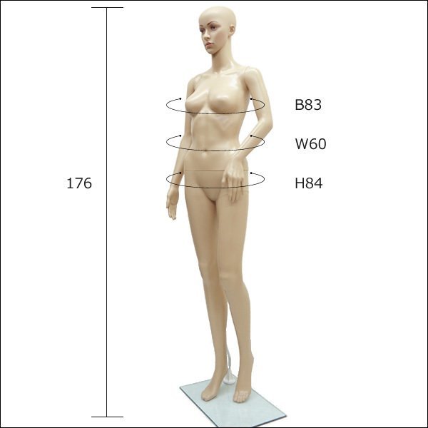 レディース マネキン [F-03] 軽量 丸洗い 分解可 女性 婦人 マネキン (選べるウイッグおまけ付き) 展示 店舗用品/11_画像4