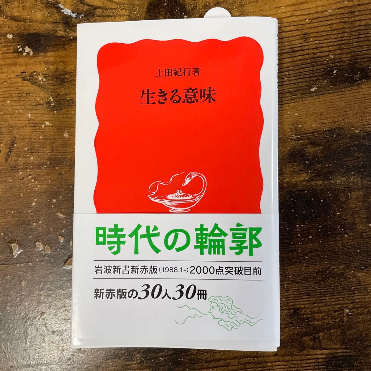 生きる意味 （岩波新書　新赤版　９３１） 上田紀行／著