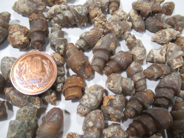 ◆巻貝の化石（めのう化）◆200グラム◆モロッコ◆送料無料の画像4