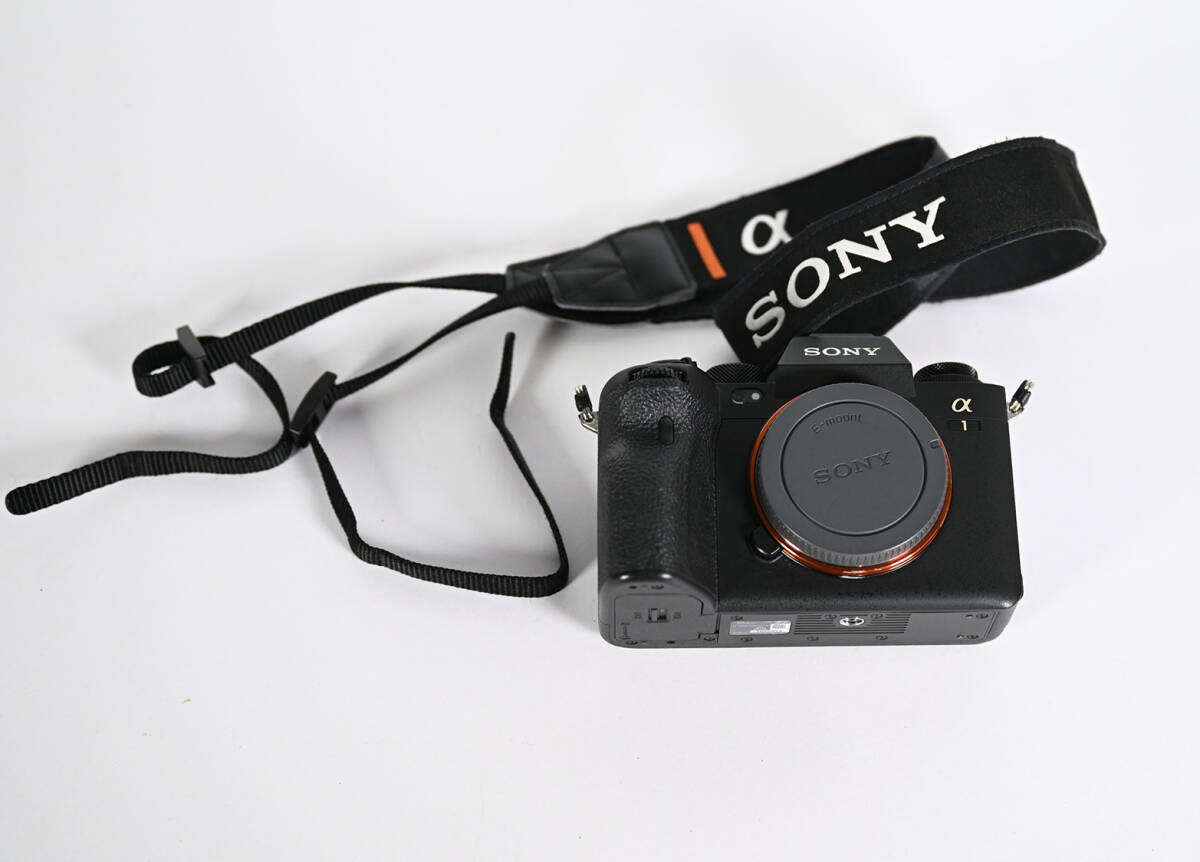 ソニーα1 SONY ILCE-1 [α1 ボディ 35mmフルサイズ ミラーレスカメラ]の画像10