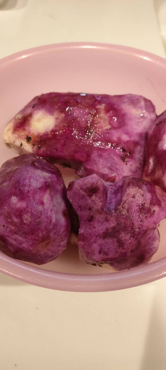 紫山芋　堀上時　1.44㎏程度　ムラサキヤマイモ　とろろ　有機栽培　家庭菜園　熊本　送料込み