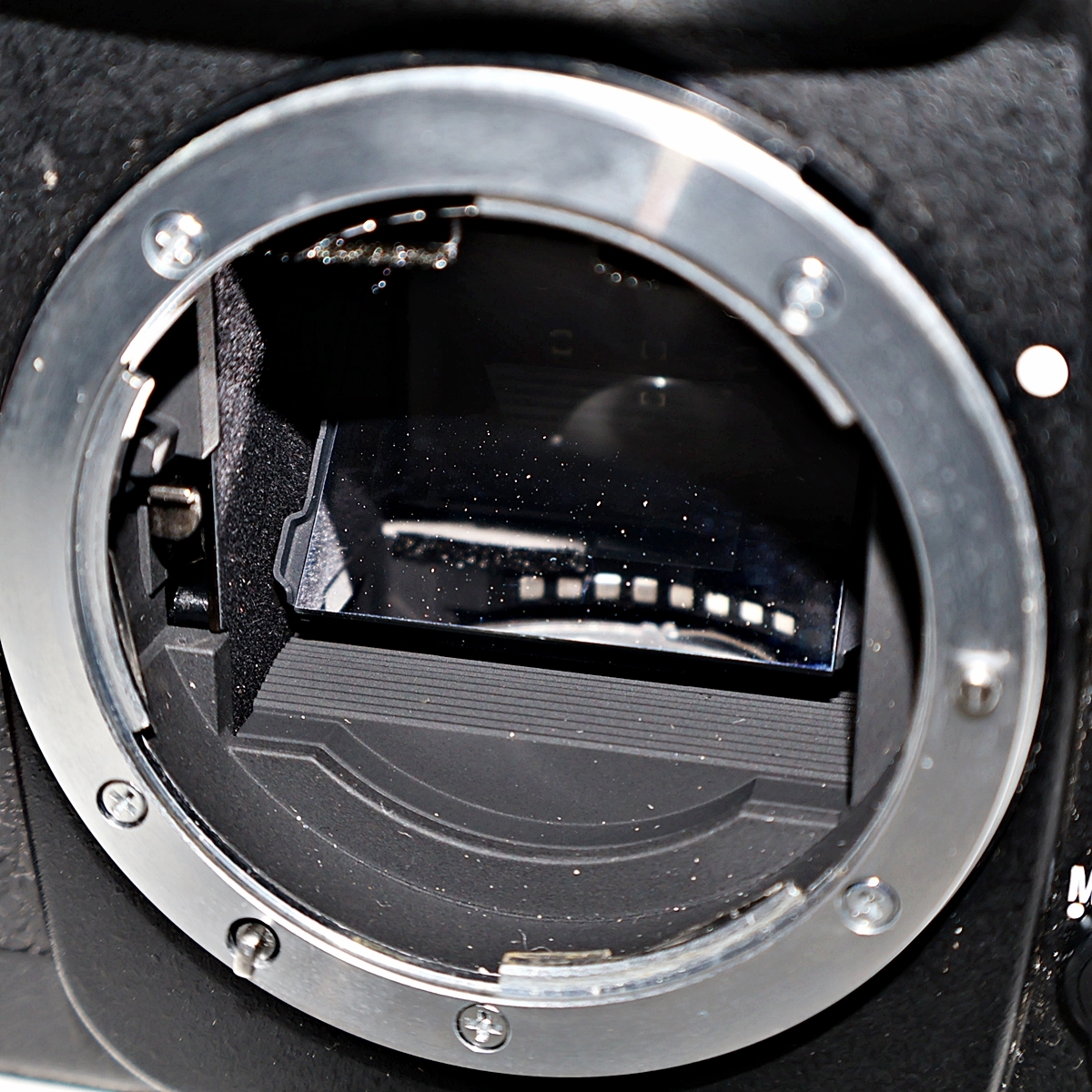 Nikon F100 MB-15 ニコン 一眼レフフィルムカメラ ボディ バッテリーパック 012FCZFI43_画像4