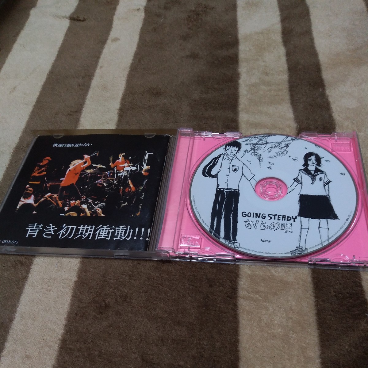 GOING STEADY「さくらの唄」ゴイステ 峯田和伸 銀杏BOYZ CDの画像3