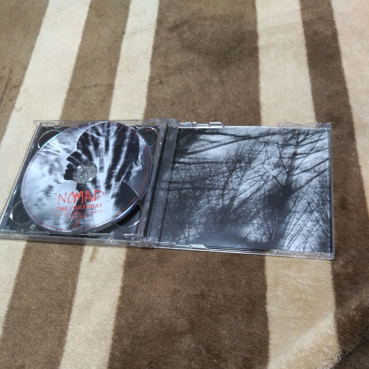 初回限定盤 The Birthday 「NOMAD」 SHM-CD+blu-ray 2枚組 チバユウスケ ミッシェルガンエレファント THEE MICHELLE GUN ELEPHANT _画像4