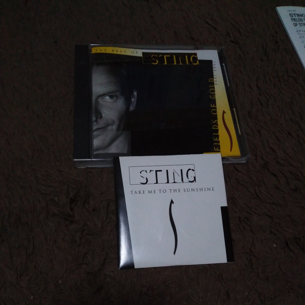 STING/THE BEST OF STING～FIELDS OF GOLD CDs付　国内盤 ベスト アルバム _画像1