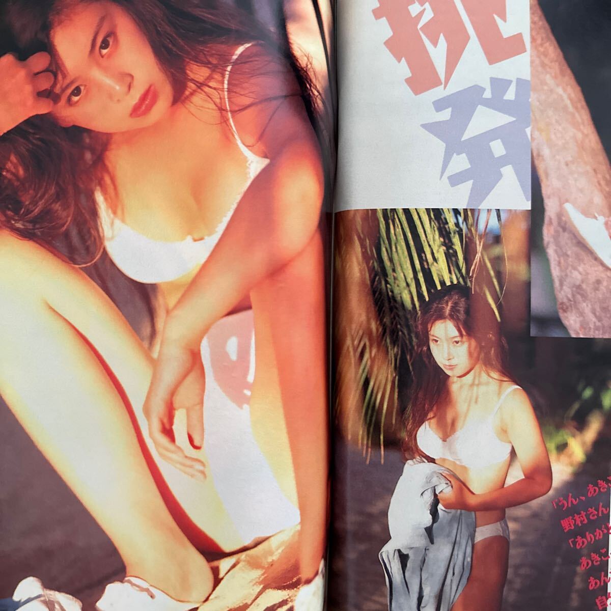 3251 週刊ヤングマガジン 1994年 雛形あきこ:表紙+グラビア 水着ハイレグ14ページの画像6
