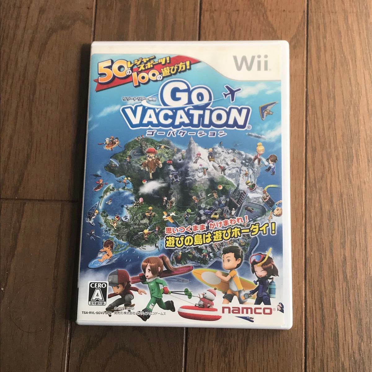 Wii ソフト GO VACATION  ゴーバケーション