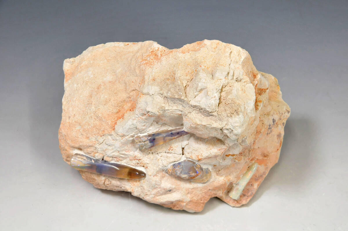 【鉱石】 ベレムナイト化石 南オーストラリア州産オパール 横幅：18.5㎝ 奥行：12㎝ 高さ：14㎝ 重量：1.7㎏ ● 2402002-87の画像2