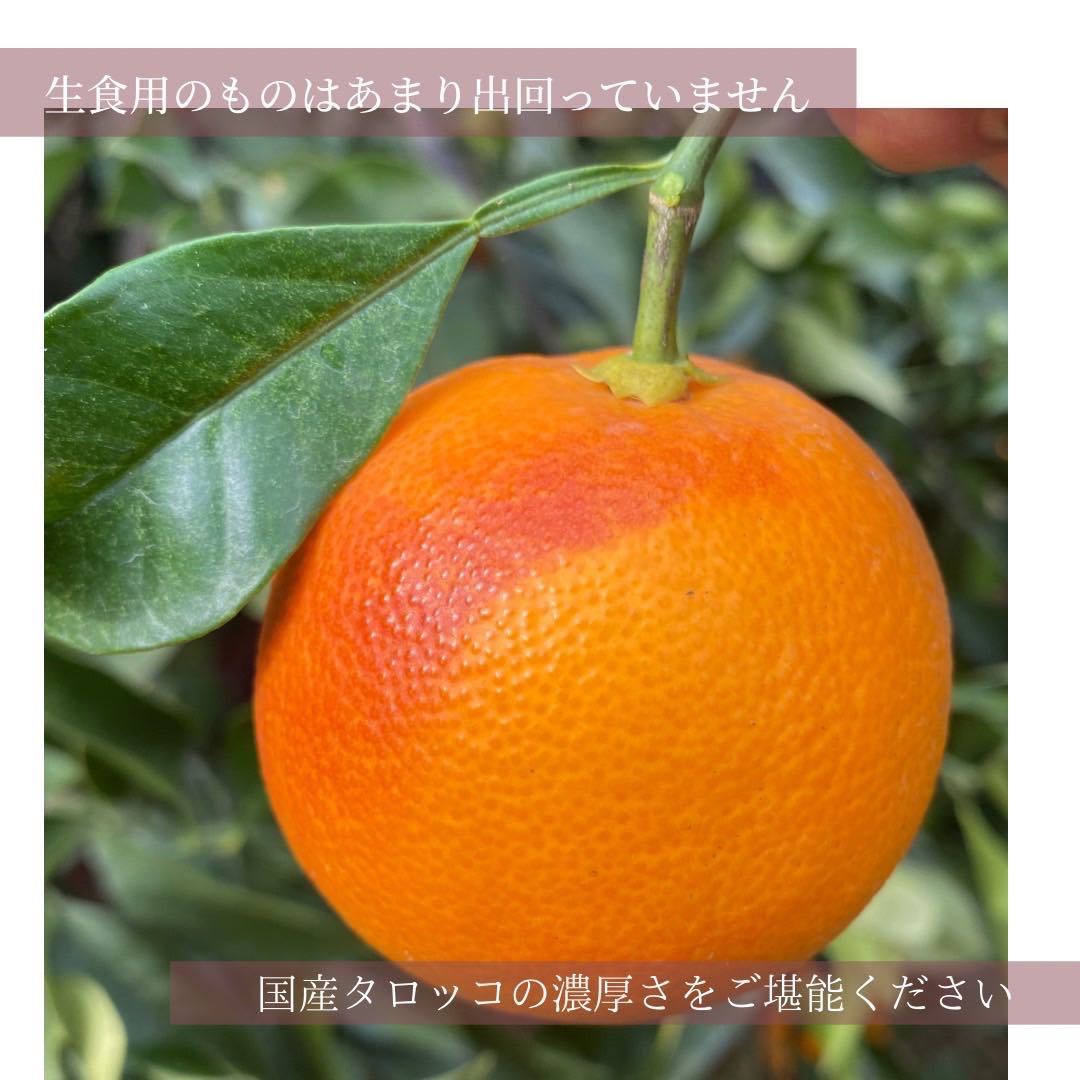 ☆Marumii.farmの甘熟ブラッドオレンジ☆_画像4