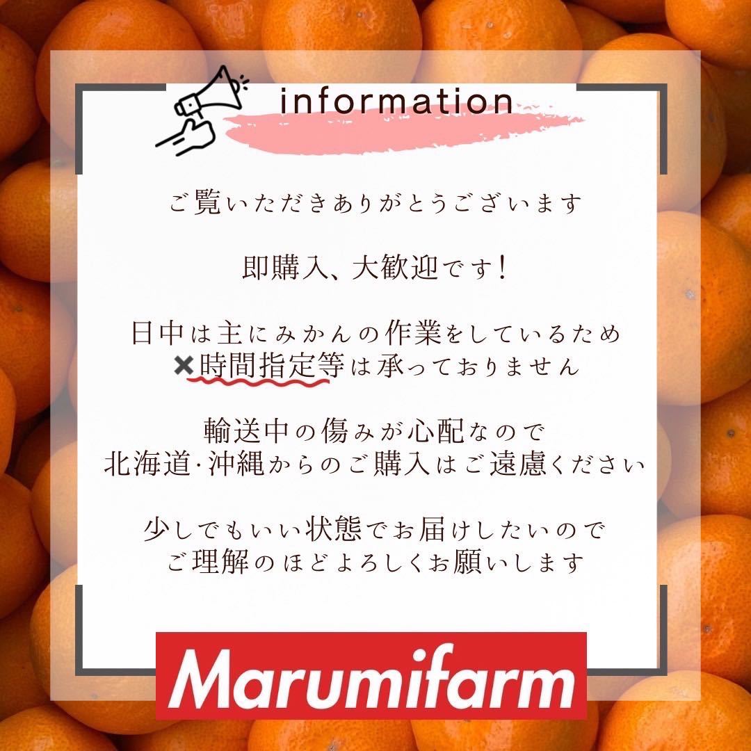 ☆Marumii.farmの甘熟ブラッドオレンジ☆_画像8