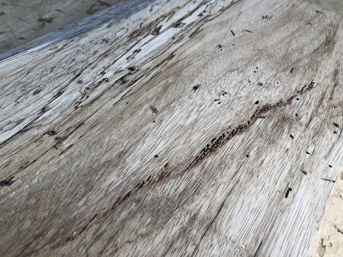 送料無料！【S663F】ゼブラウッド 410×220×55㎜ スポルテッド 乾燥材 木工 DIY 材木 天然木 無垢材《銘木すずめや》_画像6