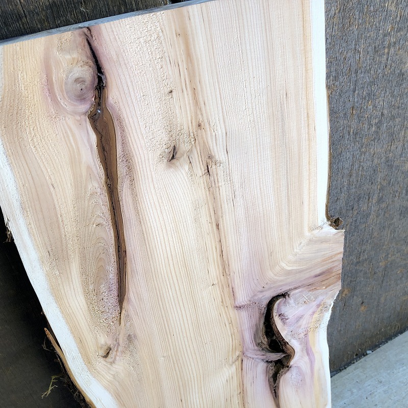 【S342】1円スタート！ 一位 550×230～260×26㎜ 板材 乾燥材 木工 DIY 木材 無垢材《銘木すずめや》_画像6