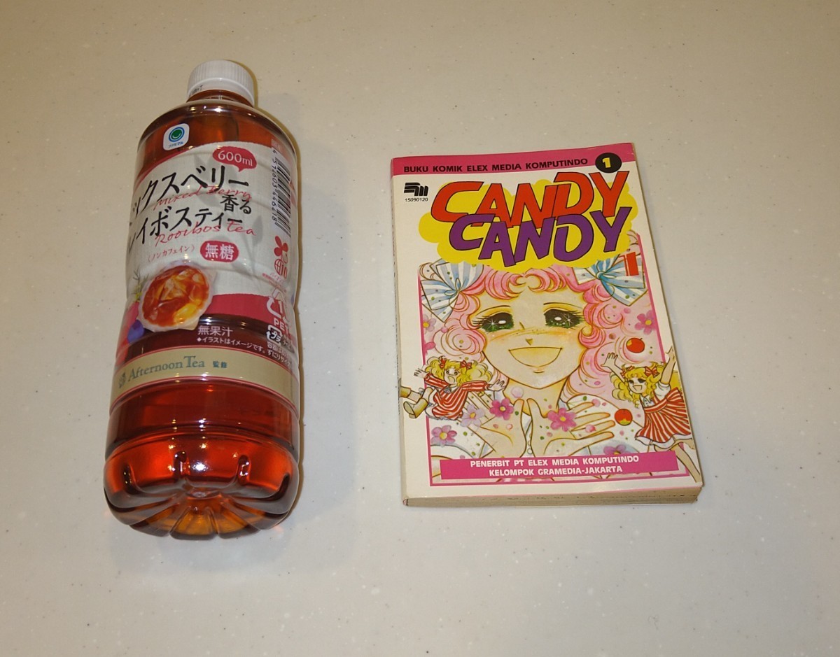 80年代初期 キャンディ・キャンディ 第一巻 インドネシア語版 CANDY CANDY いがらしゆみこ_画像1