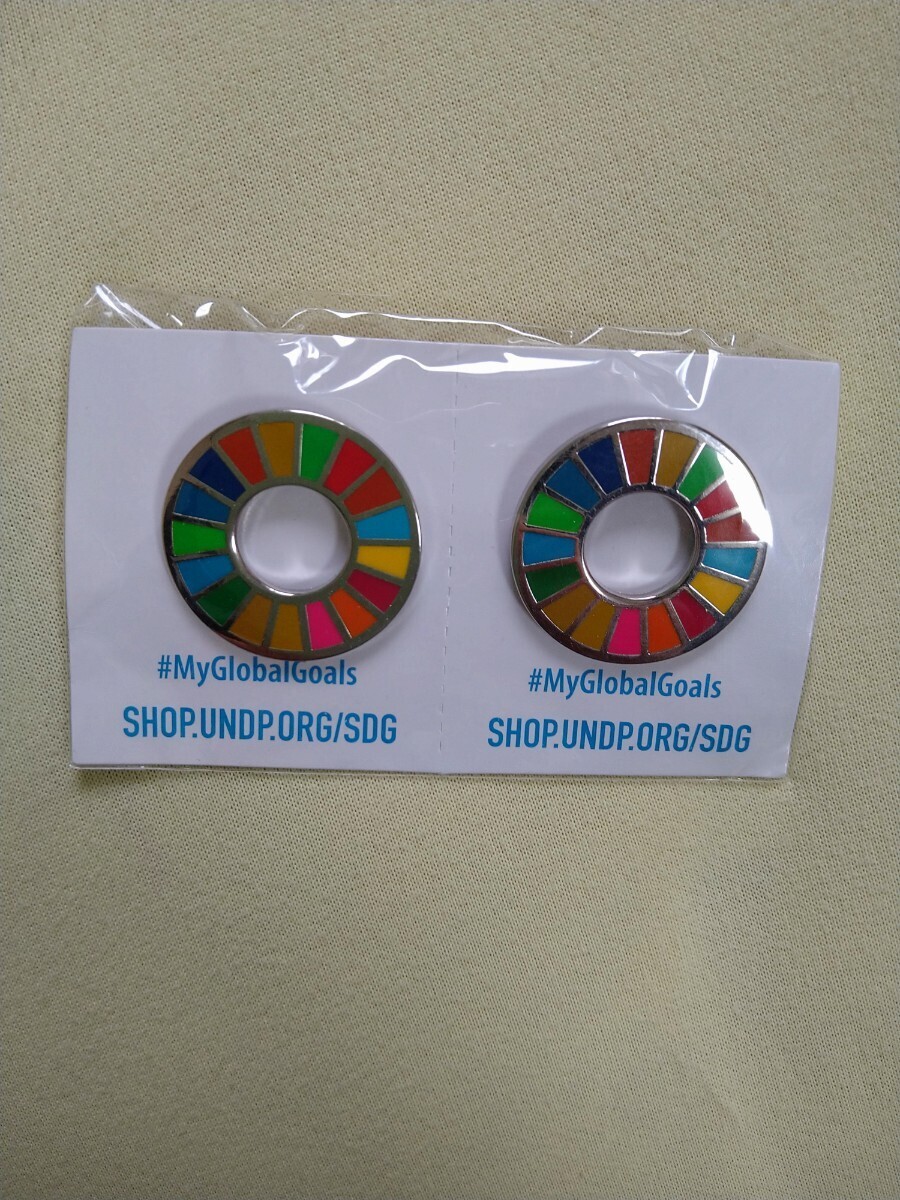 SDGs ピンバッジ 2個です。 ミニレターで送料無料 _画像1