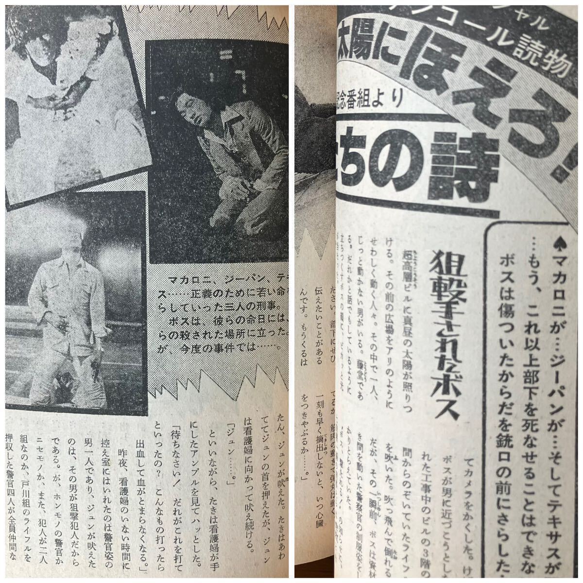 1978 中学二年コース 付録 TVお楽しみ情報 ピンクレディ 原田真二 世良公則 チャー 横溝正史 井上大助 太陽にほえろ! 人気DJ 人気声優の画像9