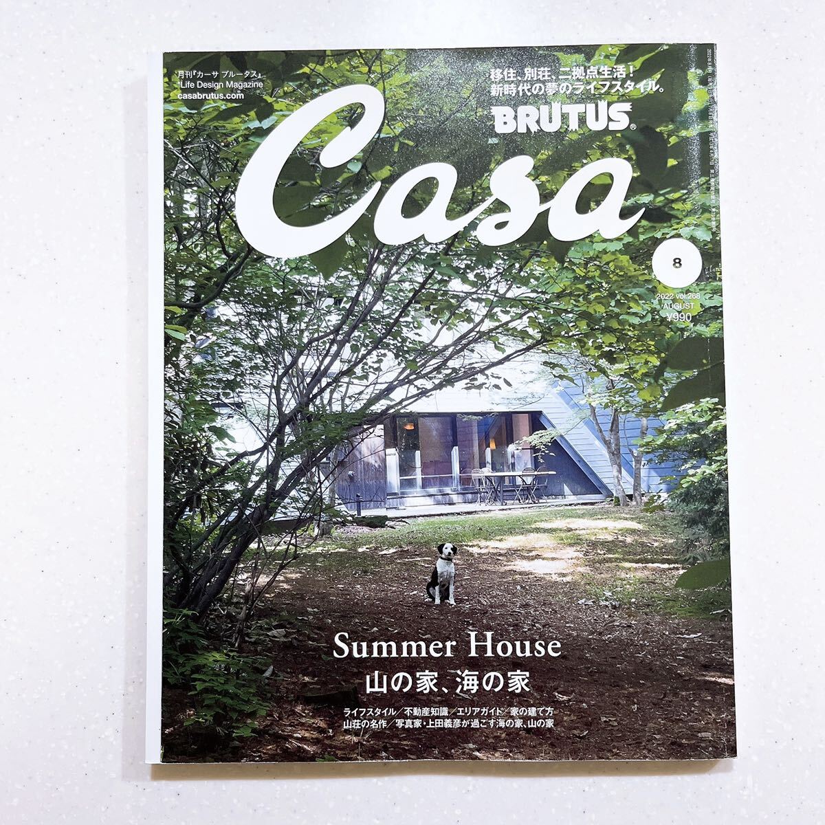 Casa BRUTUS(カーサ ブルータス) 2022年 8月号[山の家、海の家]_画像1