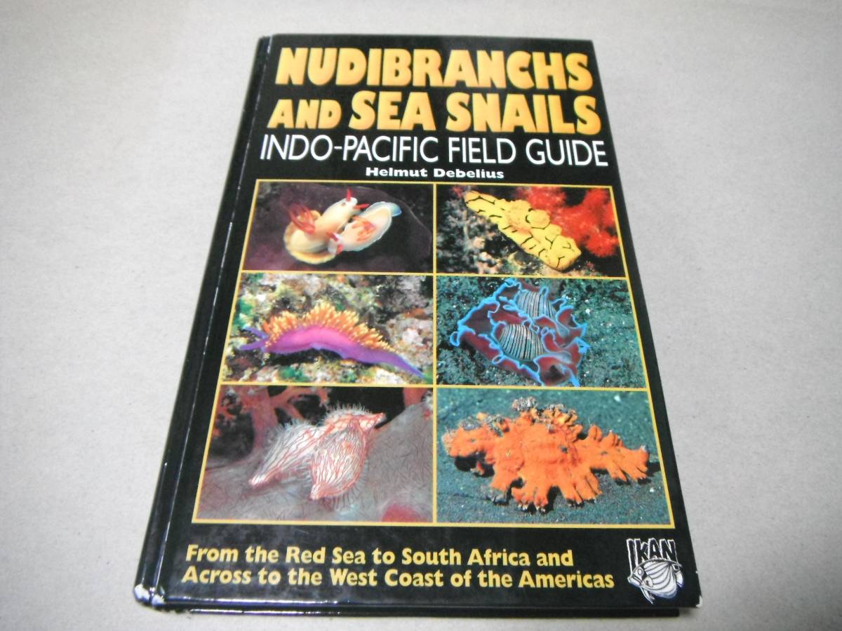 洋書(ウミウシと巻貝 インド洋から太平洋)「NUDIBRANCHS AND SEA SNAILS」_画像1