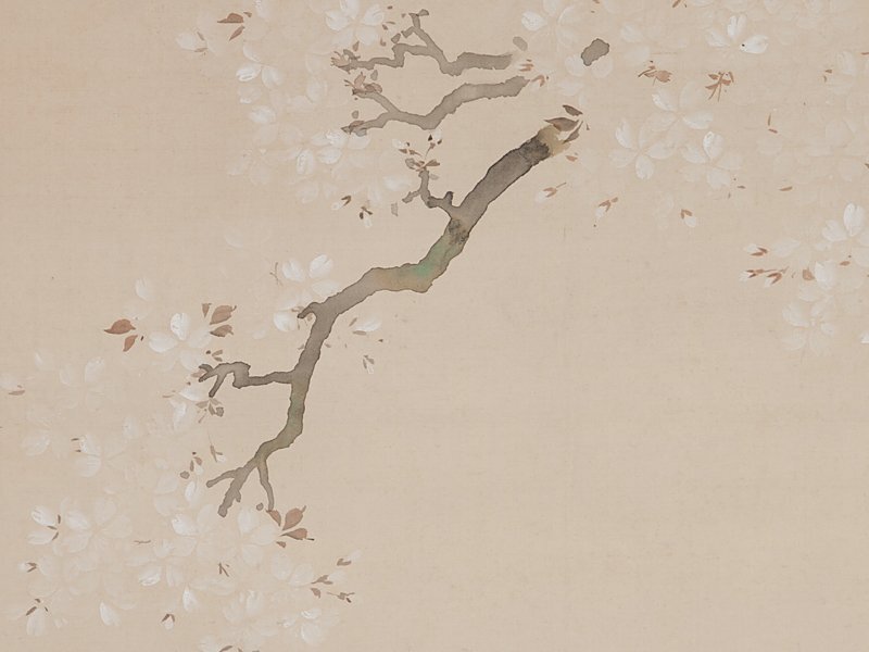 【五】掛軸 『桜下美人図』 絹本 彩色_画像3