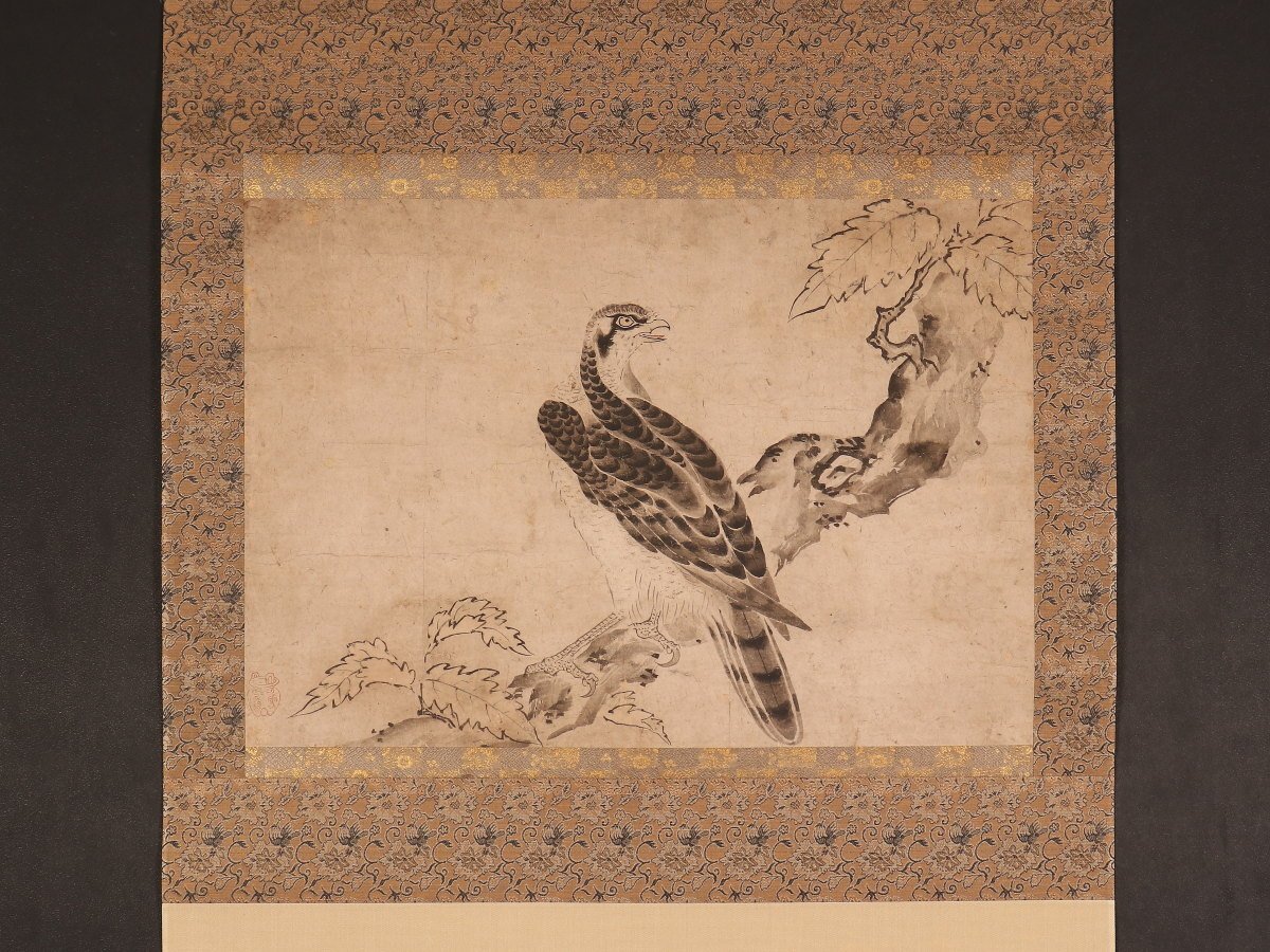 【模写】【伝来】sh8536〈山口雪渓〉樹上鷹図 室町水墨に傾倒 江戸時代前中期の画像1