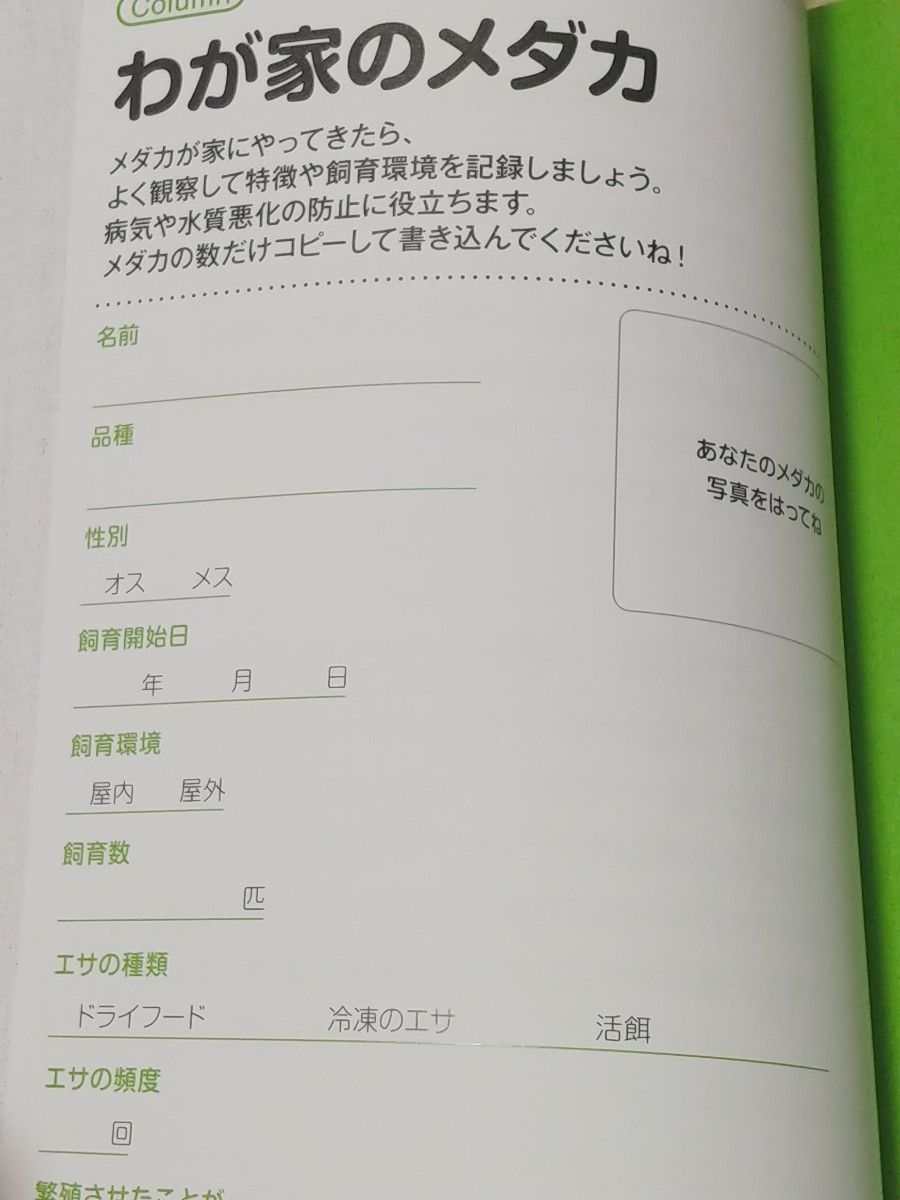 メダカの飼い方と増やし方がわかる本 : 図鑑&飼育&繁殖　水槽　アクアリウム 日東書院 青木崇浩