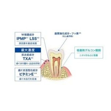 デントヘルス　薬用ハミガキ　口臭ブロック　19g×20個