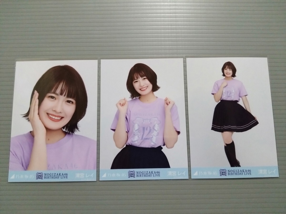 乃木坂46　清宮レイ　生写真　12thBDライブ Ｔシャツ　コンプ_画像1