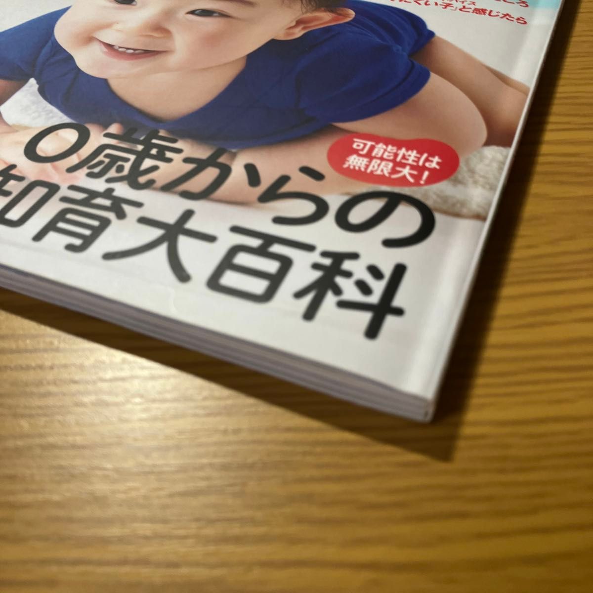 プレジデントBaby 0歳からの知育大百科 2020完全保存版 ハンディサイズ