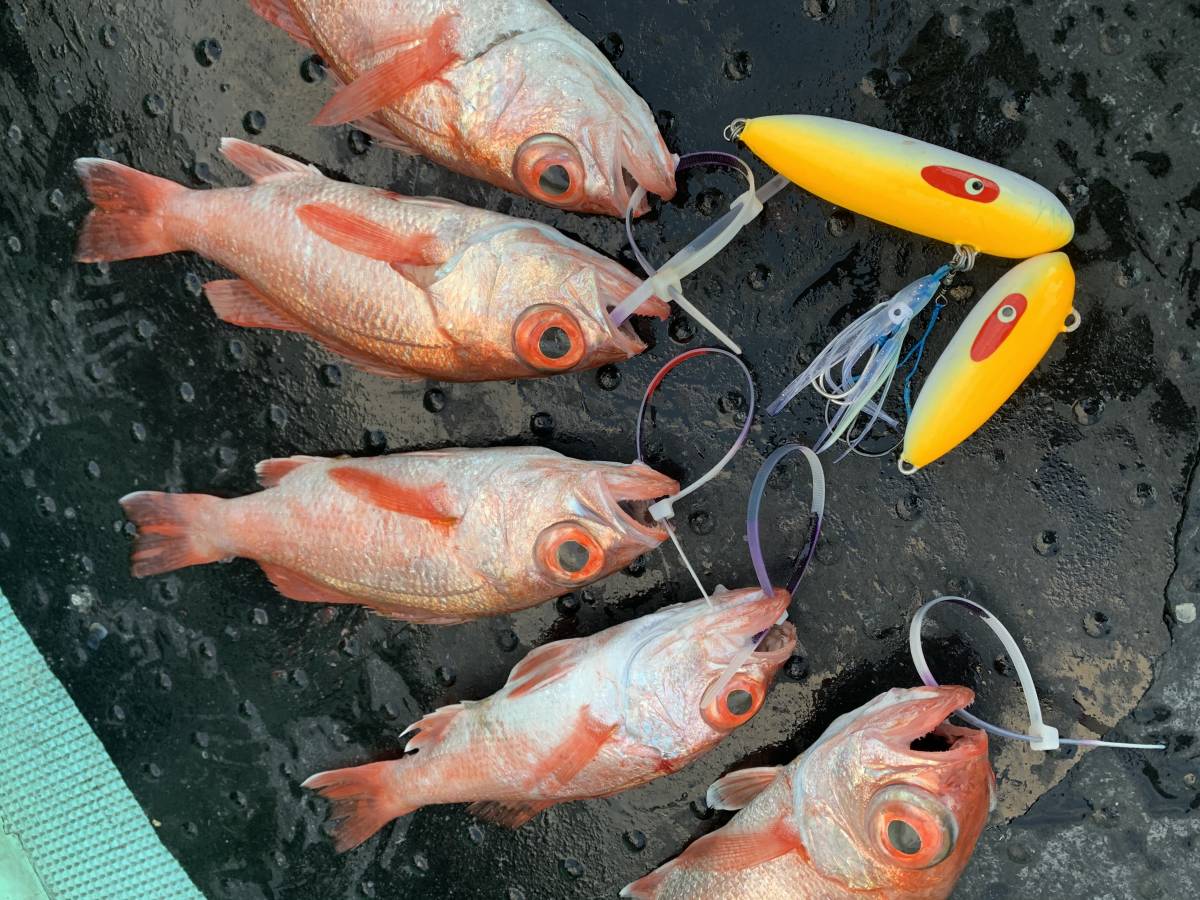 インチク 310g スモールシルエット、スローアクションで深海のアカムツ、根魚などに効く 蛍光オレンジ ！（送料370円）の画像6