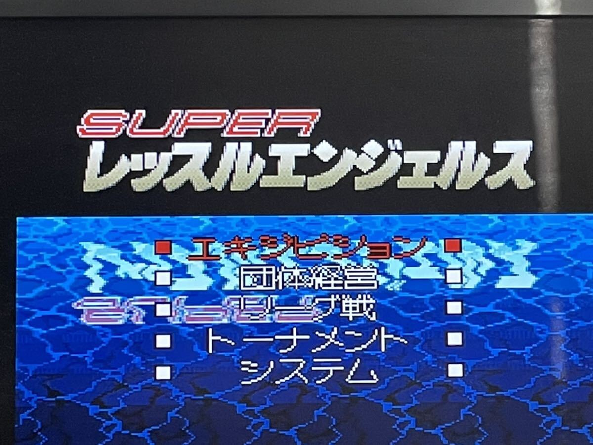 SFC　スーパーファミコン　スーパーレッスルエンジェルス　イマジニア　女子プロレス_画像6