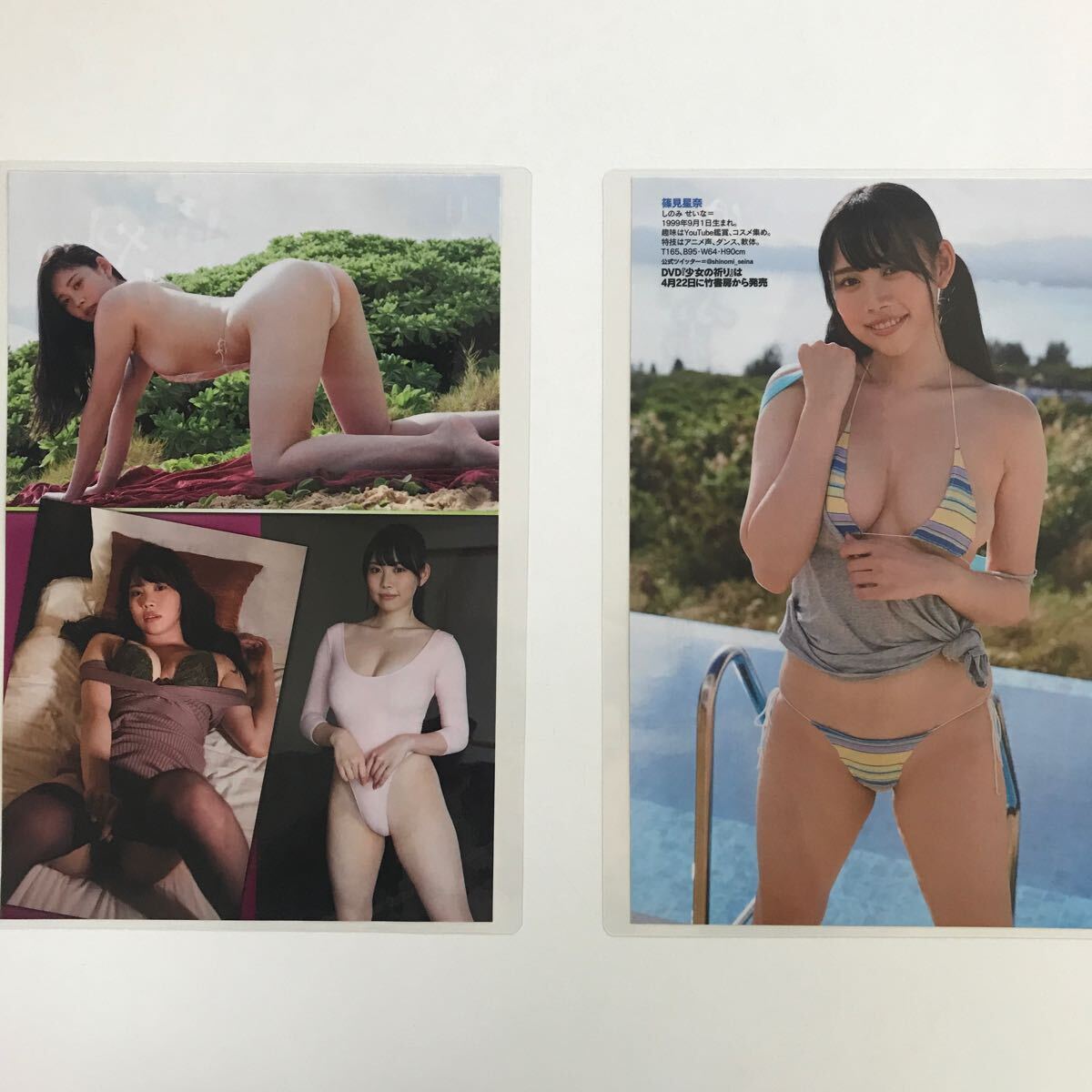 『雑誌グラビア ラミネート加工』Y-2220 篠見星奈(Hカップ＆黒髪ロング)沖田彩華(元国民的アイドル)B5 3枚5P 週刊現代2022年11月7日号※15_画像2