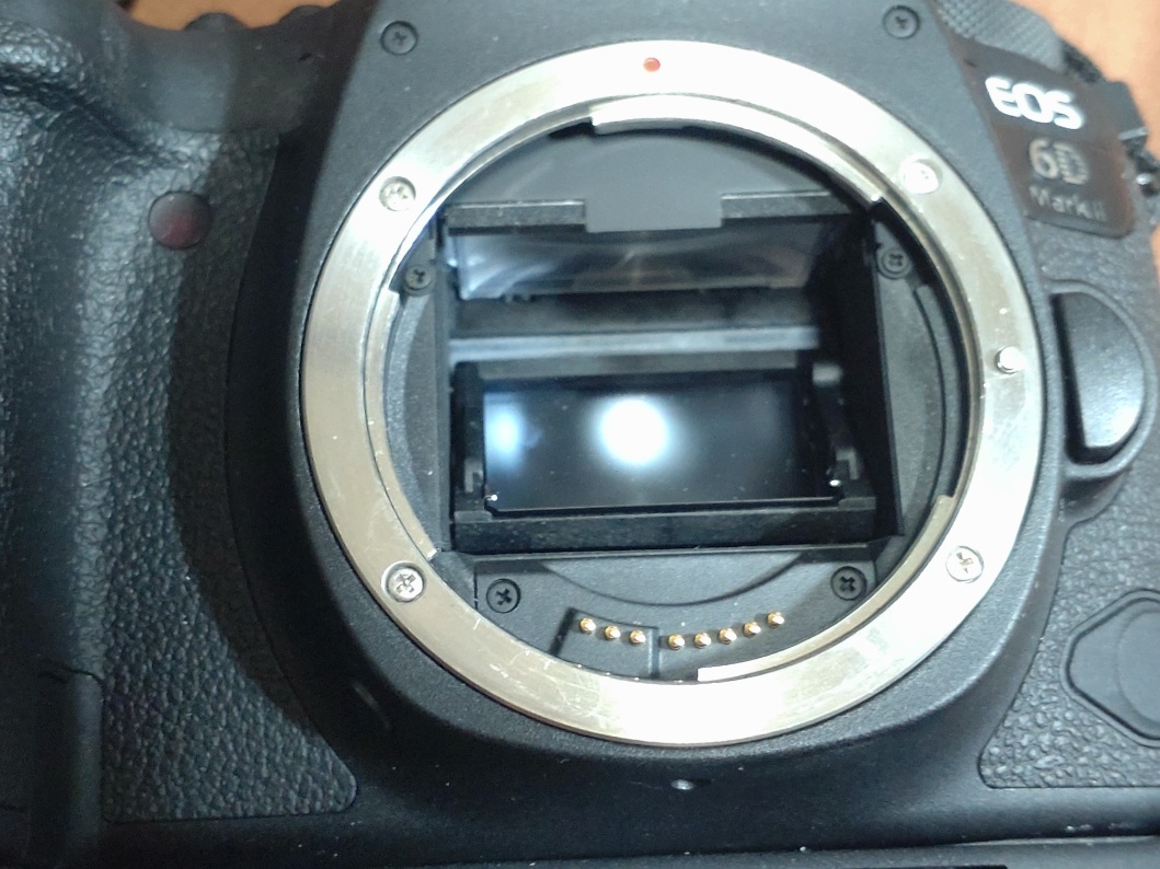 Canon EOS6D MarkⅡ+バッテリーグリップBG-E21_画像3