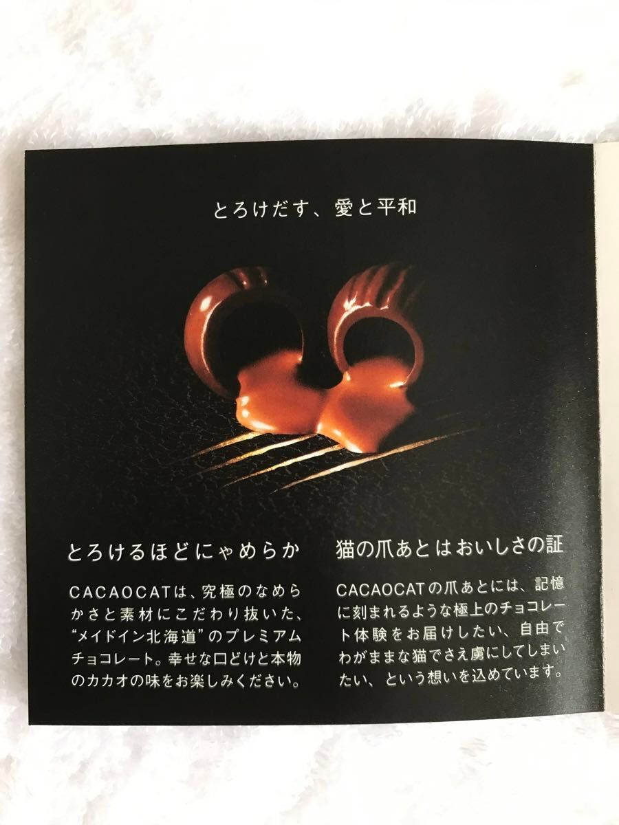 DADACA CACAOCAT缶　SILVER　　　　　　8個入り　