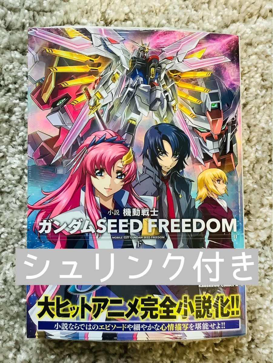 小説 機動戦士ガンダムSEED FREEDOM (下)