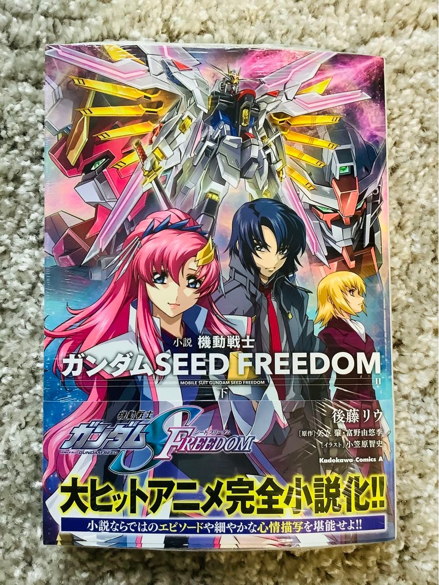 小説 機動戦士ガンダムSEED FREEDOM (下)