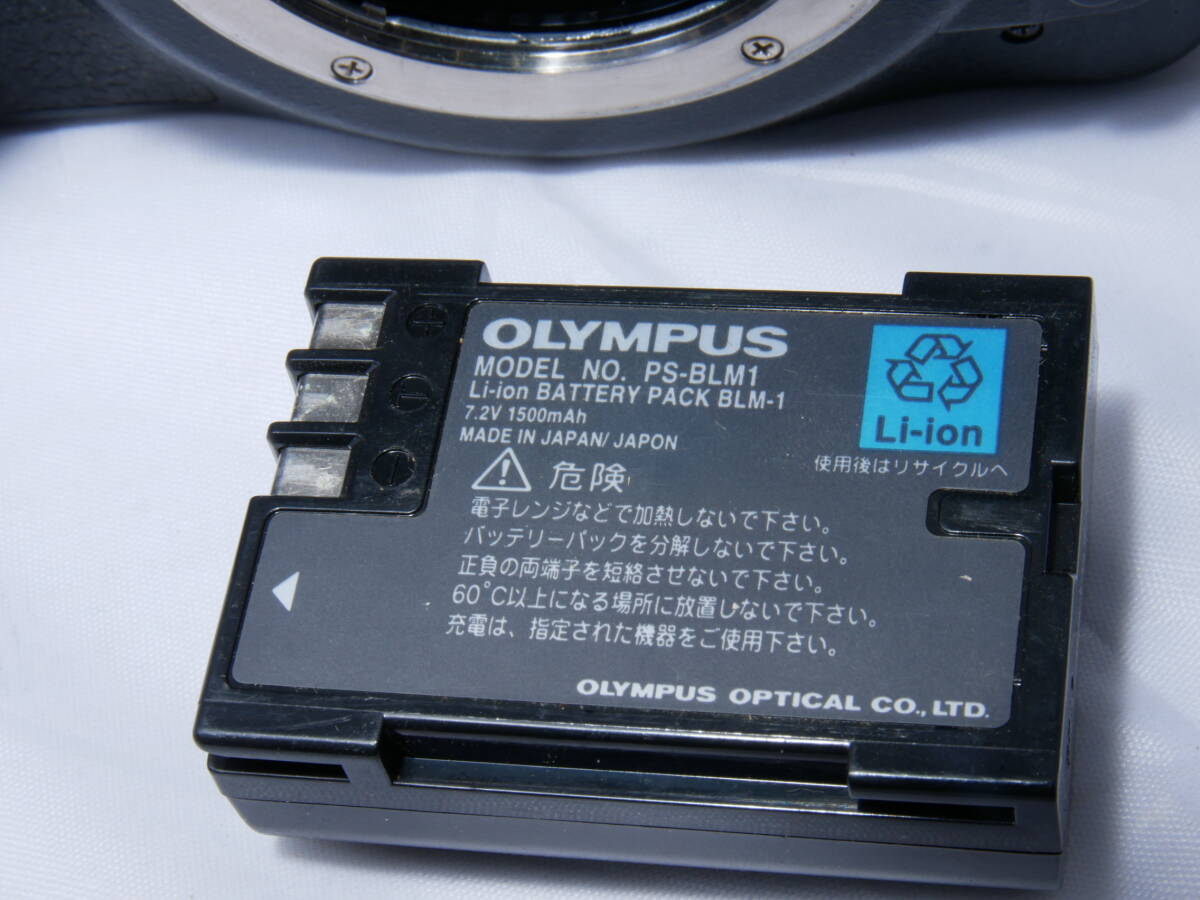 OLYMPUS　E-300　ボディ_画像7