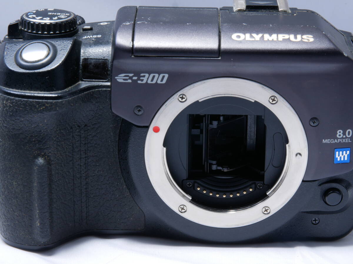 OLYMPUS　E-300　ボディ_画像1